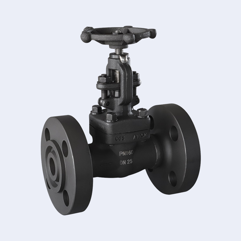 Forged steel flange globe valve
