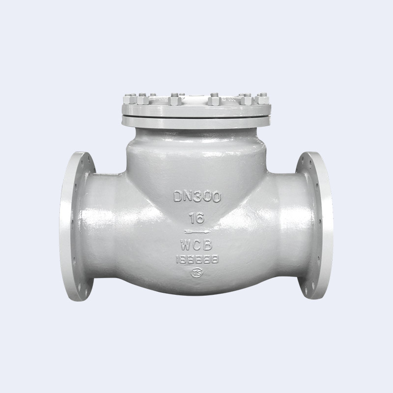 Cast steel check valve